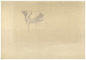 Visualizza l'immagine "FD Album 3, 17"